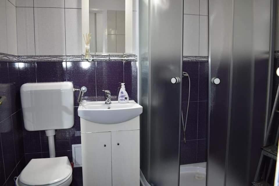 Bega Circumvalatiunii 1 Room Apartment Тімішоара Екстер'єр фото