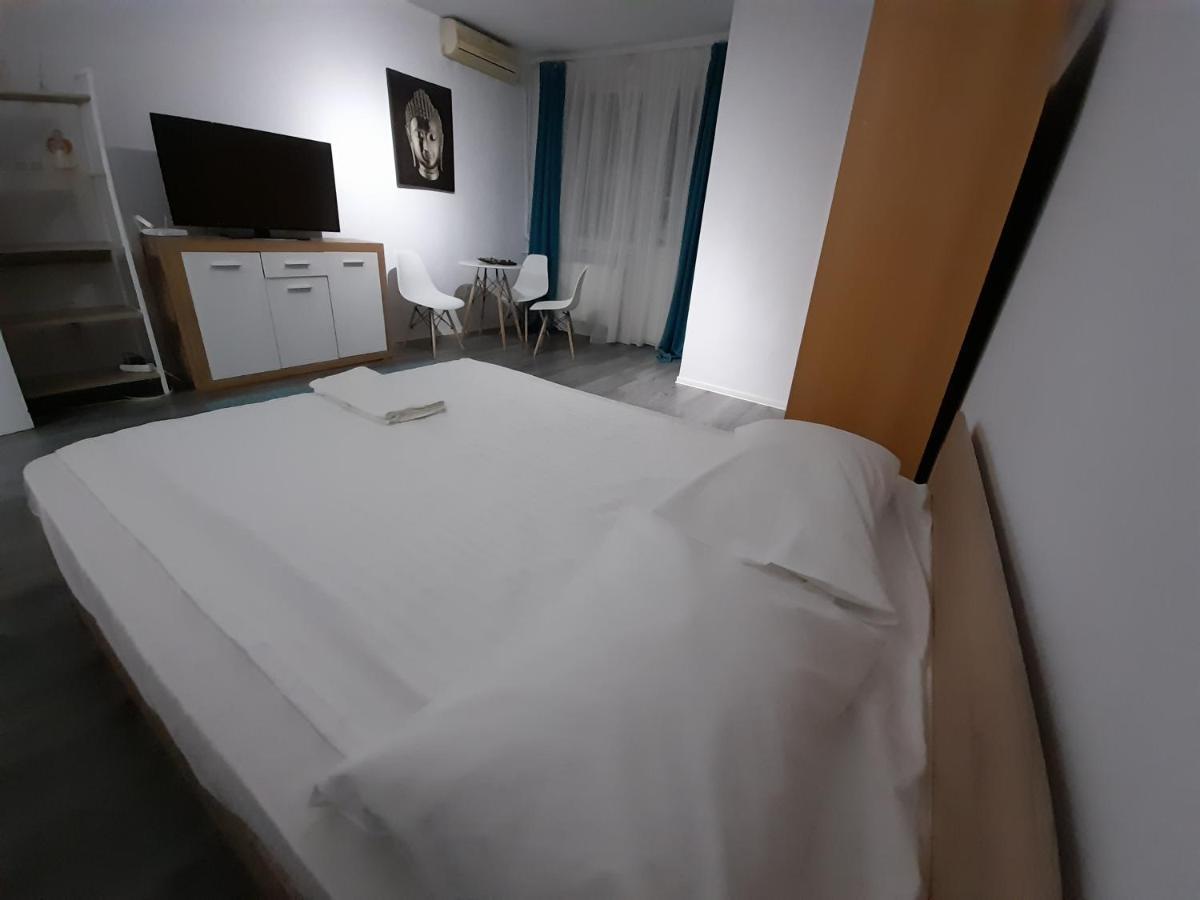 Bega Circumvalatiunii 1 Room Apartment Тімішоара Екстер'єр фото